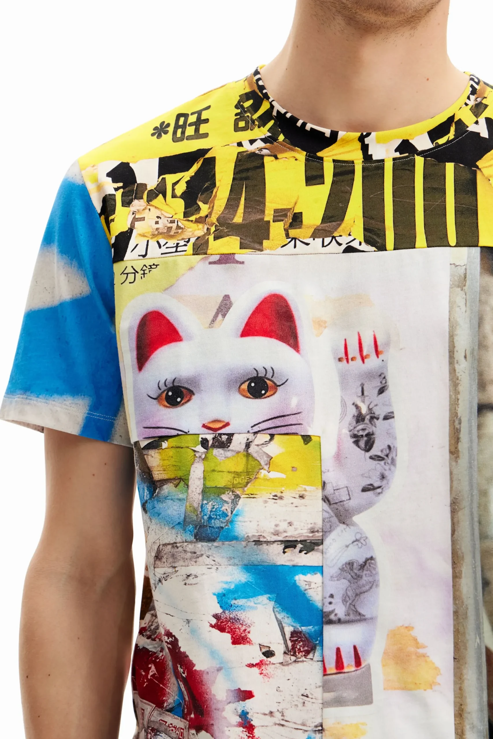 Camisetas-Desigual Camiseta japan street