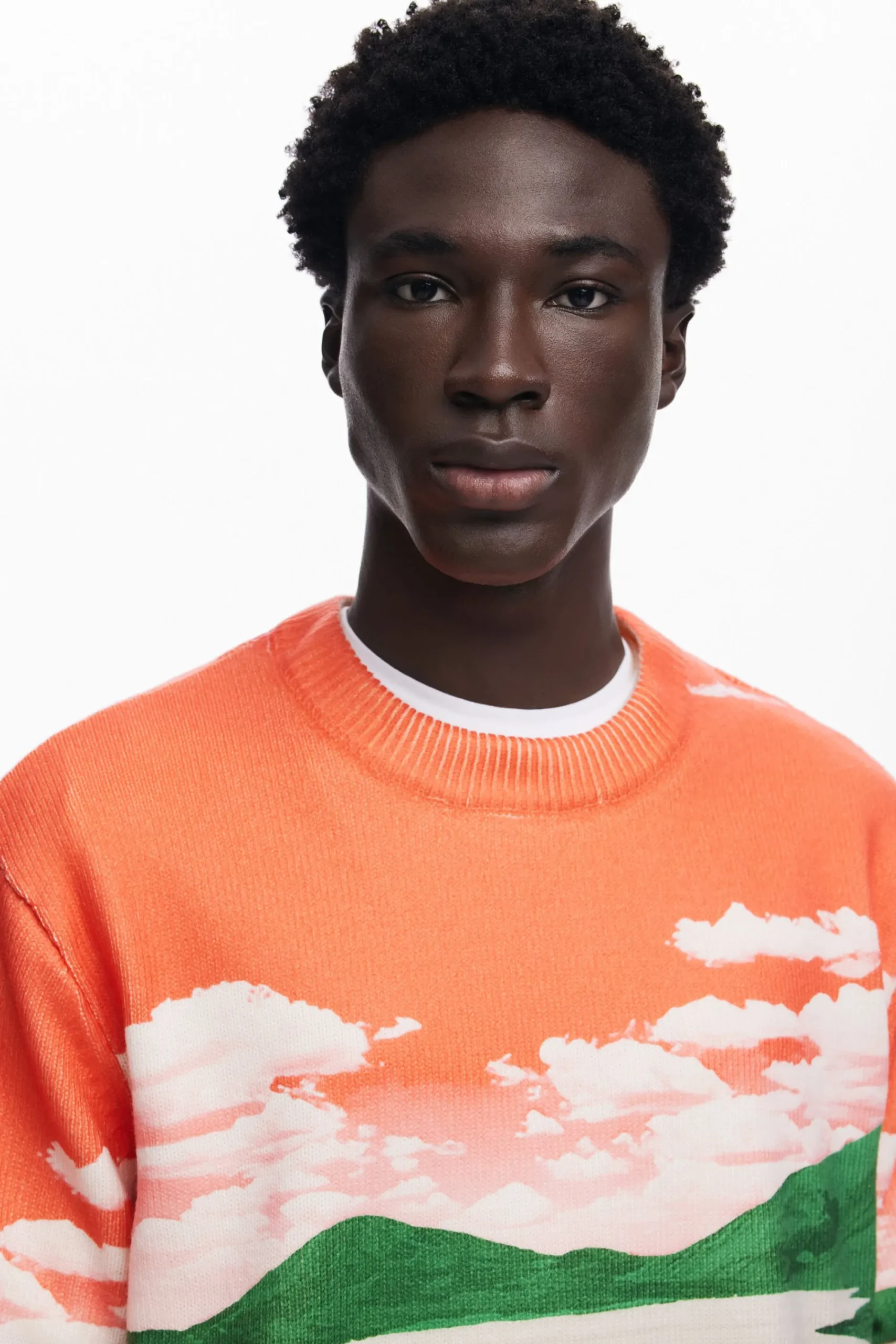 Jerséis Y Sudaderas-Desigual Jersey paisaje